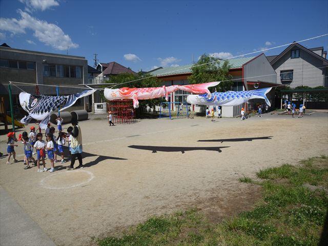 DSC_5059_R.JPG